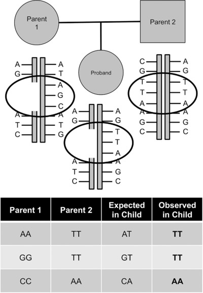 Robust identification of deletions in exome and genome sequence data based on clustering of Mendelian errors