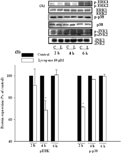 Details are in the caption following the image