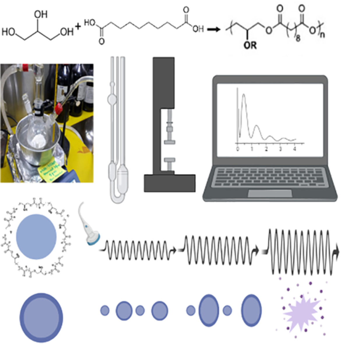 Synthesis, rheological characterization, and proposed application of pre-polyglycerol sebacate as ultrasound contrast agent based on theoretical estimation