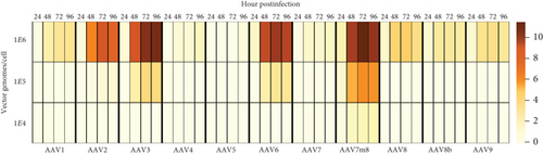 Details are in the caption following the image Details are in the caption following the image