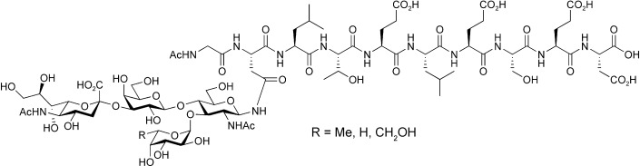 Synthetic Glycopeptides from the E-Selectin Ligand 1 with Varied Sialyl Lewisx Structure as Cell-Adhesion Inhibitors of E-Selectin