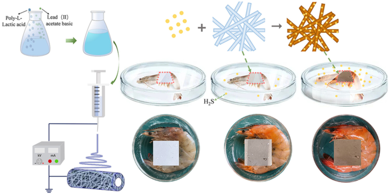 Poly-L-lactic acid/lead(II) acetate basic colour indicator membrane for visual monitoring in shrimp freshness
