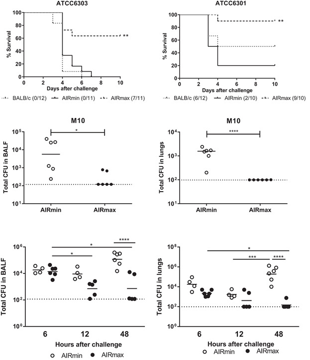 Impaired expression of CXCL5 and matrix metalloproteinases in the lungs of mice with high susceptibility to Streptococcus pneumoniae infection