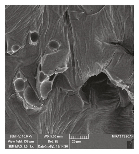 Details are in the caption following the image