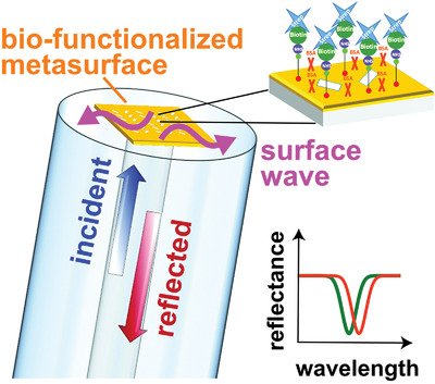 Metasurface-Enhanced Lab-on-Fiber Biosensors