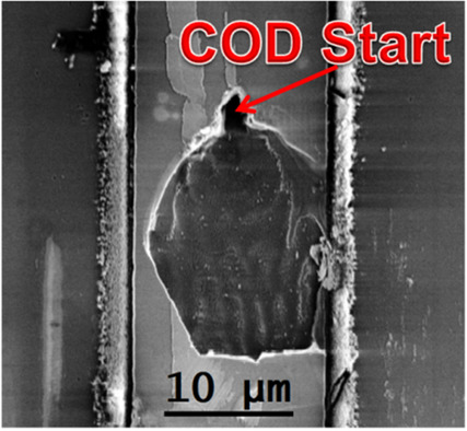 Catastrophic Optical Damage in Semiconductor Lasers: Physics and New Results on InGaN High-Power Diode Lasers
