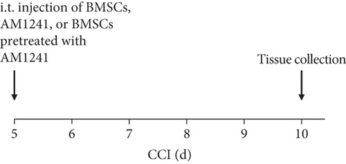 Details are in the caption following the image