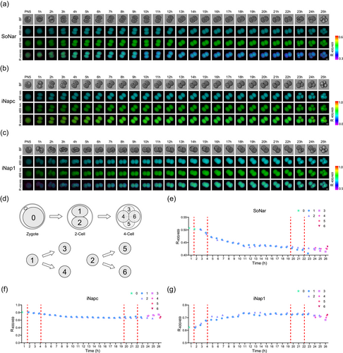 Details are in the caption following the image Details are in the caption following the image