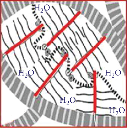 Details are in the caption following the image