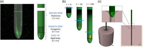 Details are in the caption following the image Details are in the caption following the image