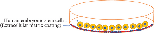Details are in the caption following the image