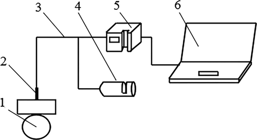 Details are in the caption following the image Details are in the caption following the image