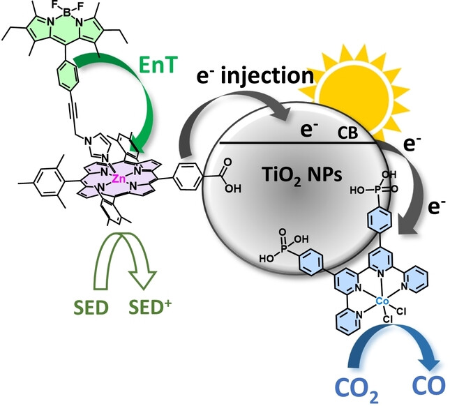 Antenna Effect in Noble Metal-Free Dye-Sensitized Photocatalytic Systems Enhances CO2-to-CO Conversion
