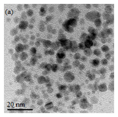 Details are in the caption following the image