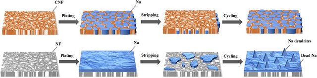 Long-Life Sodium Metal Anodes Achieved by Cuprous Oxide–Modified Ni Foam Host