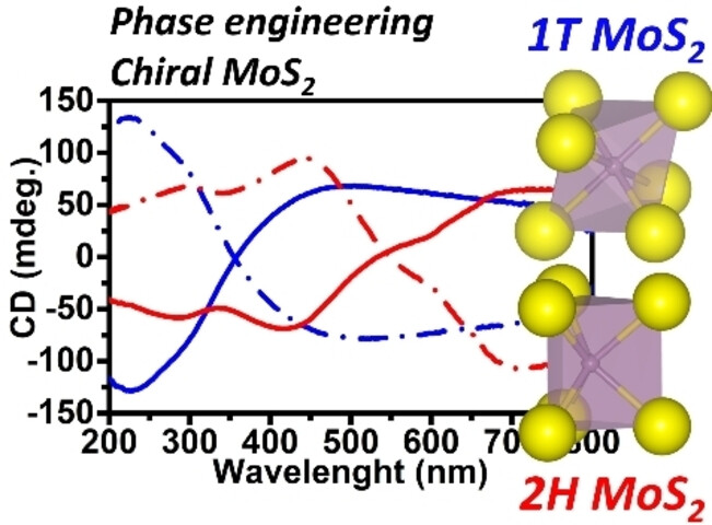 Unveiling Chirality in MoS2 Nanosheets: A Breakthrough in Phase Engineering for Enhanced Chiroptical Properties