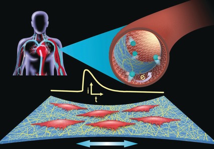 Stretchable Electrochemical Sensor for Real-Time Monitoring of Cells and Tissues