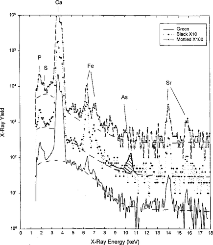 Details are in the caption following the image Details are in the caption following the image