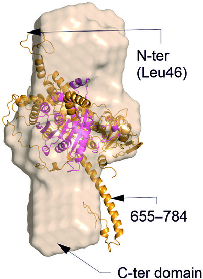 Expression and analysis of the SAM-dependent RNA methyltransferase Rsm22 from Saccharomyces cerevisiae