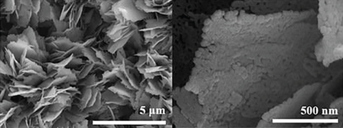 Details are in the caption following the image