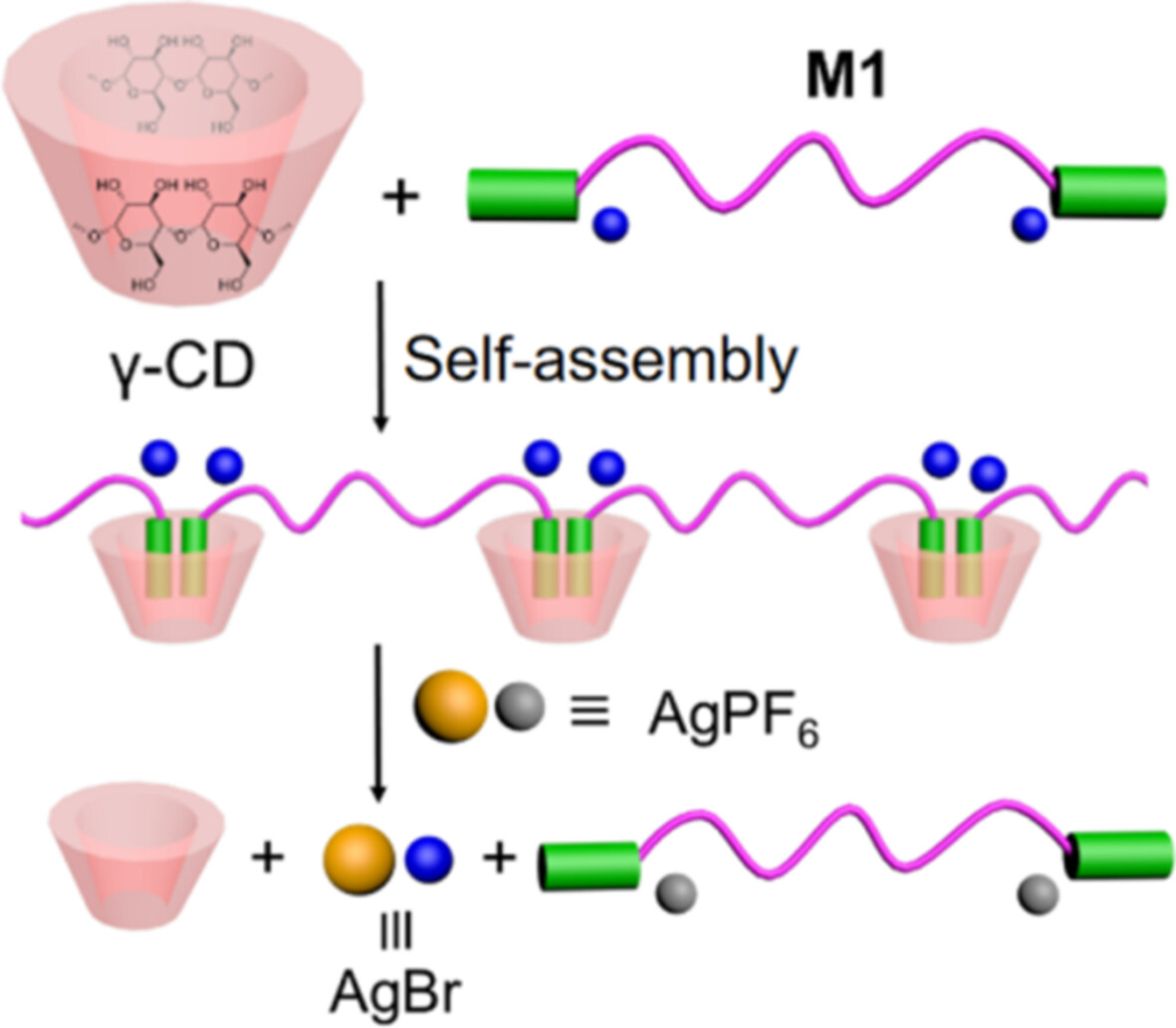 Water-Soluble Supramolecular Polymer With Silver Ion Responsiveness