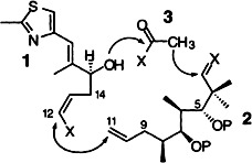 Total Synthesis of (–)-Epothilone A