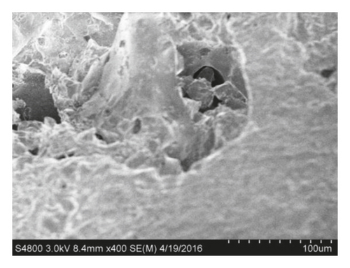 Details are in the caption following the image