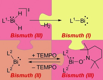 Well-Defined, Mononuclear BiI and BiII Compounds: Towards Transition-Metal-Like Behavior