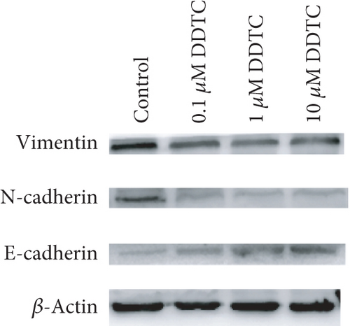Details are in the caption following the image