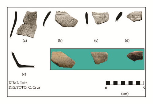 Details are in the caption following the image Details are in the caption following the image