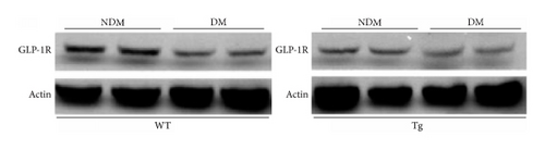 Details are in the caption following the image