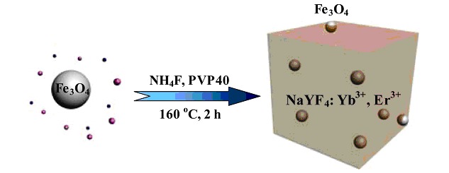 Fe3O4 Modified Up-Conversion Luminescent Nanocrystals for Biological Applications