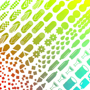 Renewable Feedstocks: The Problem of Catalyst Deactivation and its Mitigation