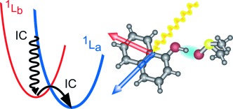Ultrafast Solvent-Assisted Electronic Level Crossing in 1-Naphthol