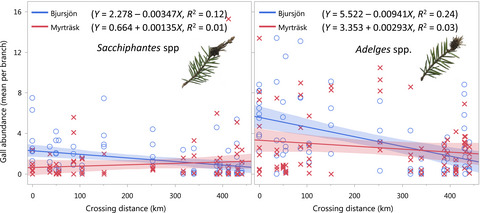 The extended consequences of genetic conductivity: Mating distance affects community phenotypes in Norway spruce