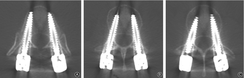 Details are in the caption following the image Details are in the caption following the image