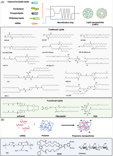 Details are in the caption following the image Details are in the caption following the image