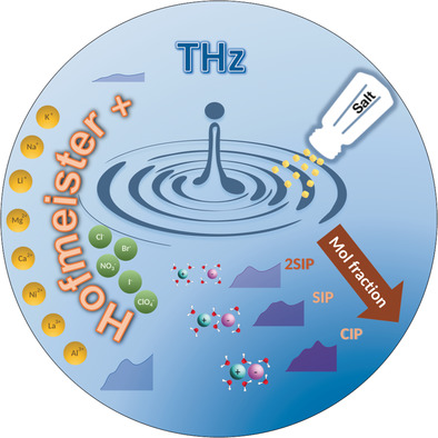 Ion Hydration and Ion Pairing as Probed by THz Spectroscopy