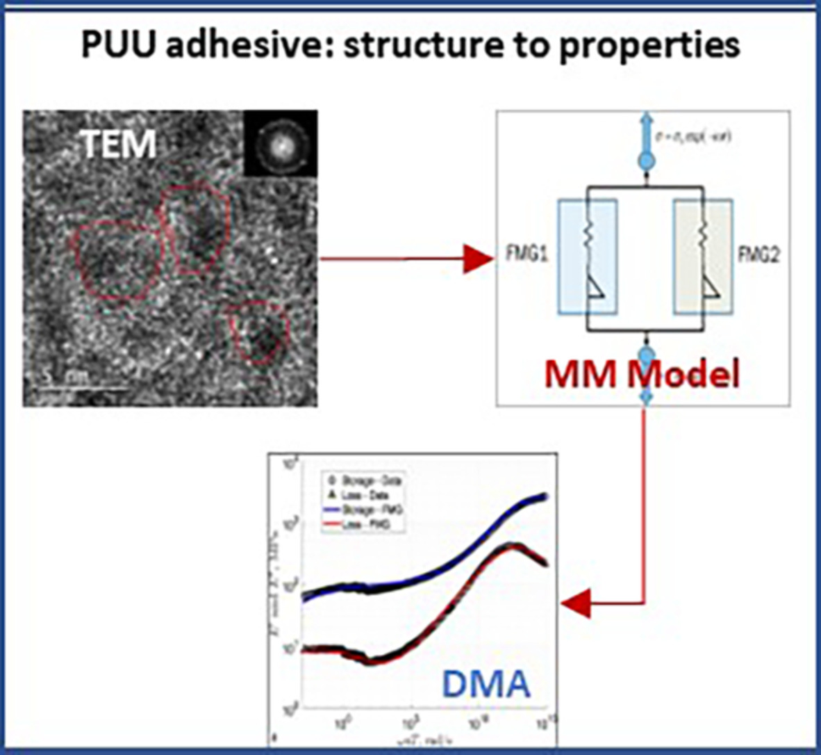 Experimental and modeling studies of IPDI-based polyurea elastomers – The role of hard segment fraction