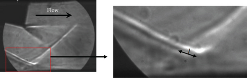 Details are in the caption following the image