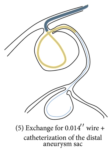 Details are in the caption following the image