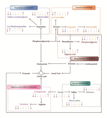 Details are in the caption following the image Details are in the caption following the image