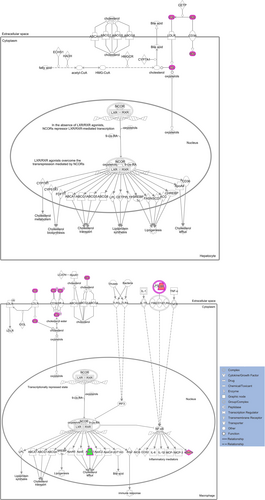 Details are in the caption following the image Details are in the caption following the image