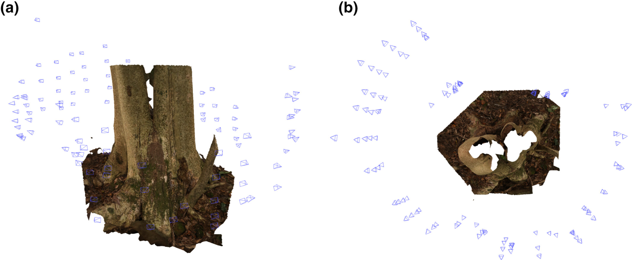 3D documentation and classification of incense tree Aquilaria sinensis (Lour.) Spreng. wounds by photogrammetry and its potential conservation applications