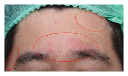 Details are in the caption following the image Details are in the caption following the image