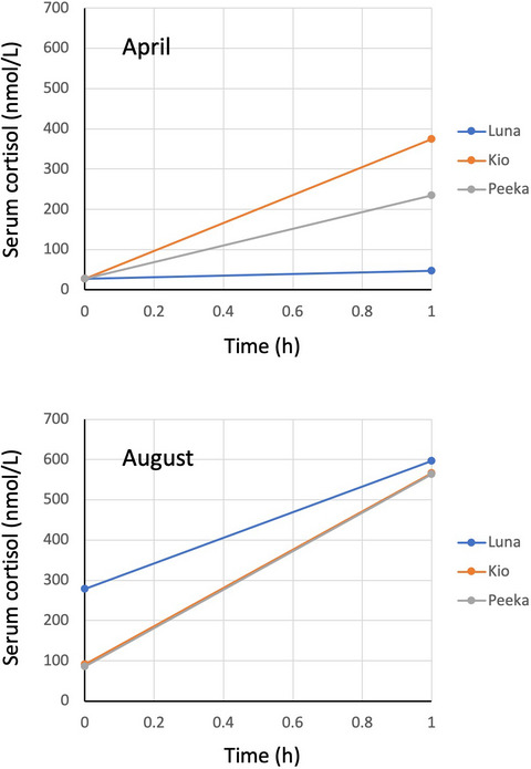 Cortisol levels in blood and hair of unanesthetized grizzly bears (Ursus arctos) following intravenous cosyntropin injection