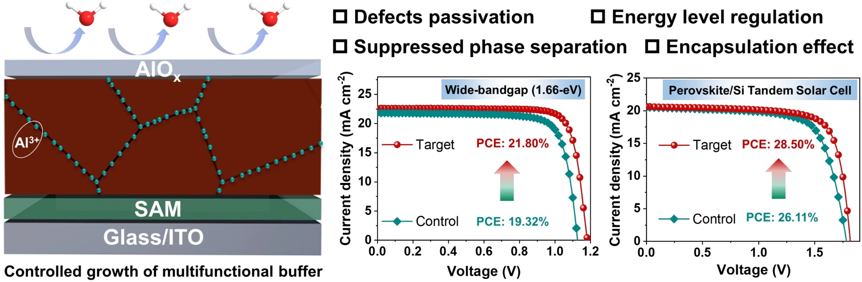 Multifunctional Buffer Layer Engineering for Efficient and Stable Wide-Bandgap Perovskite and Perovskite/Silicon Tandem Solar Cells