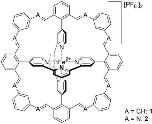 Details are in the caption following the image
