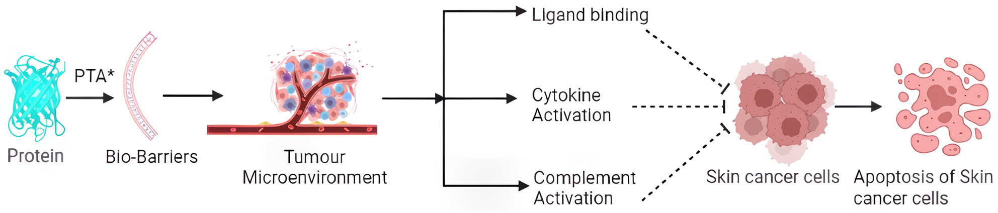 Protein therapeutics as an emerging strategy to deal with skin cancer: A short review