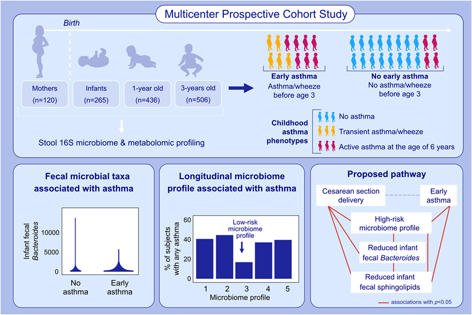The maternal prenatal and offspring early-life gut microbiome of childhood asthma phenotypes